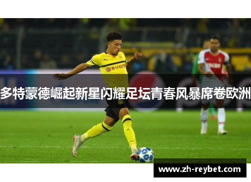 多特蒙德崛起新星闪耀足坛青春风暴席卷欧洲